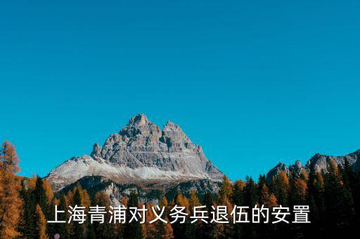 上海青浦對義務(wù)兵退伍的安置