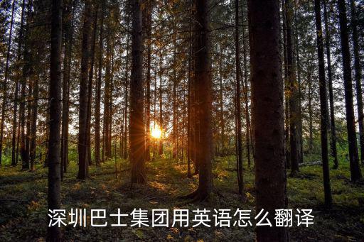 深圳巴士集團用英語怎么翻譯