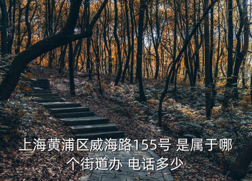 上海黃浦區(qū)威海路155號 是屬于哪個街道辦 電話多少