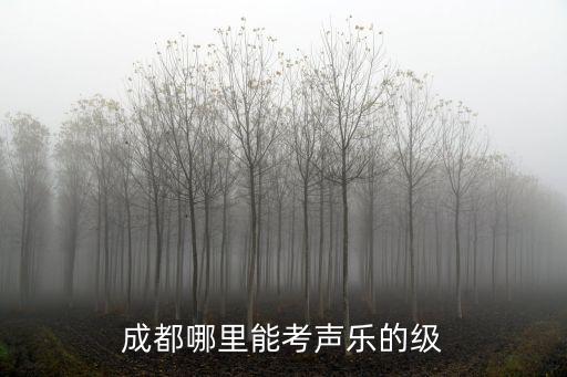 成都哪里能考聲樂的級