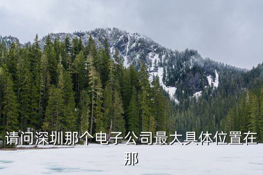 請問深圳那個電子公司最大具體位置在那