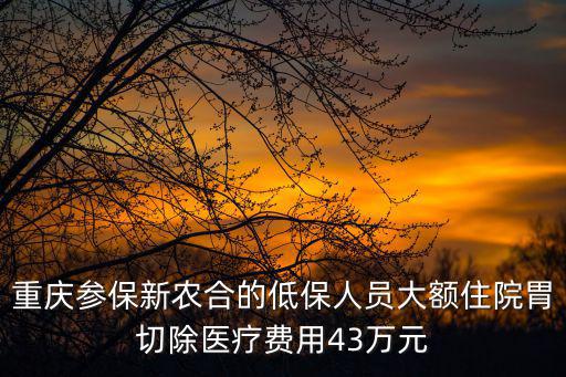 重慶參保新農合的低保人員大額住院胃切除醫療費用43萬元