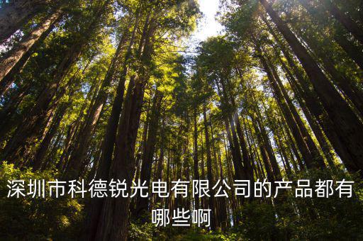深圳市科銳科技，深圳市龍崗區(qū)坪地鎮(zhèn)福地崗科銳思電子廠有這個(gè)廠的嗎