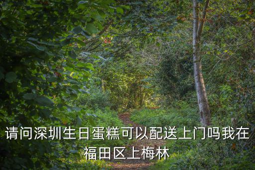 請問深圳生日蛋糕可以配送上門嗎我在福田區上梅林