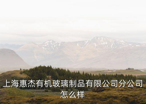 上海惠杰有機玻璃制品有限公司分公司怎么樣