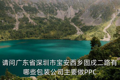 請問廣東省深圳市寶安西鄉固戍二路有哪些包裝公司主要做PPC
