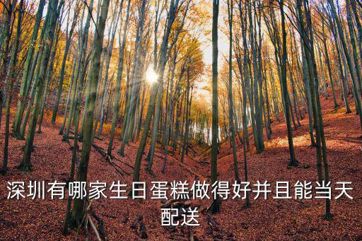 深圳有哪家生日蛋糕做得好并且能當天配送