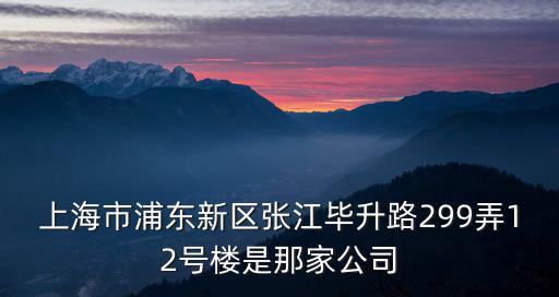 上海市浦東新區張江畢升路299弄12號樓是那家公司