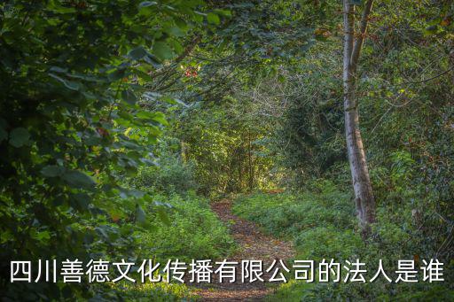 深圳市善德兄弟文化傳媒有限公司，四川善德文化傳播有限公司的法人是誰(shuí)