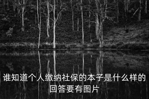 誰知道個(gè)人繳納社保的本子是什么樣的回答要有圖片