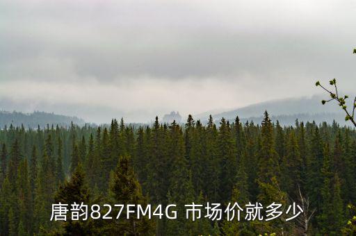 唐韻827FM4G 市場(chǎng)價(jià)就多少
