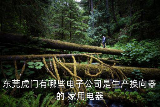 東莞虎門有哪些電子公司是生產換向器的 家用電器