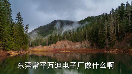 東莞萬迪電子，萬迪電子廠還招女普工嗎