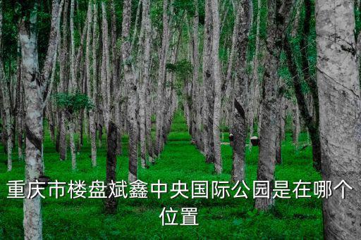 重慶市樓盤斌鑫中央國(guó)際公園是在哪個(gè)位置