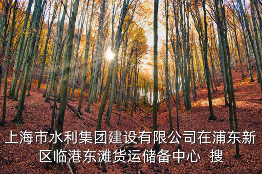 上海市水利集團(tuán)建設(shè)有限公司在浦東新區(qū)臨港東灘貨運(yùn)儲(chǔ)備中心  搜