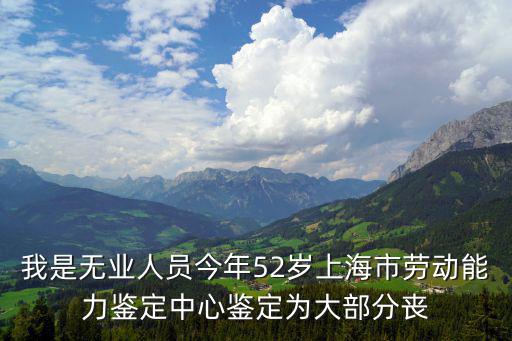 我是無(wú)業(yè)人員今年52歲上海市勞動(dòng)能力鑒定中心鑒定為大部分喪
