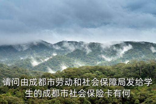 請問由成都市勞動(dòng)和社會(huì)保障局發(fā)給學(xué)生的成都市社會(huì)保險(xiǎn)卡有何