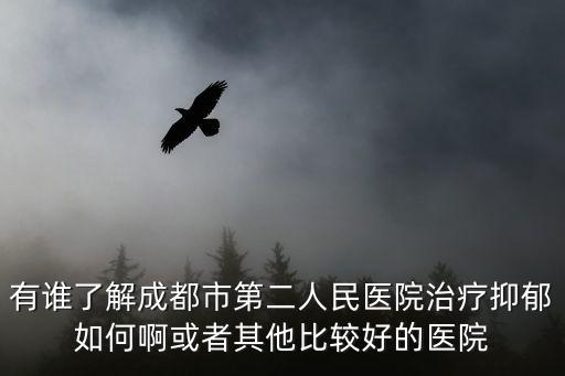 有誰了解成都市第二人民醫院治療抑郁如何啊或者其他比較好的醫院