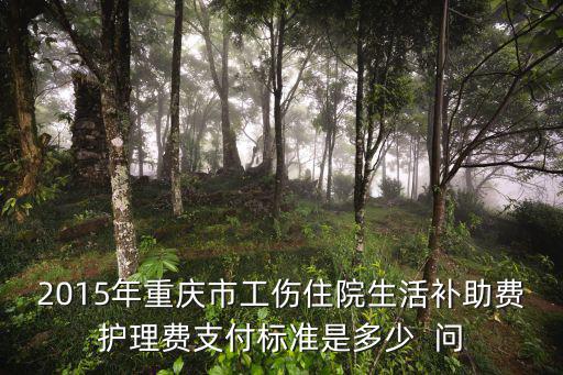 2015年重慶市工傷住院生活補助費護理費支付標準是多少  問