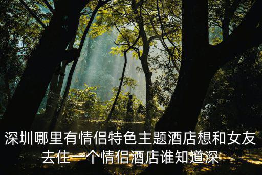 深圳520浪漫主題酒店，深圳有哪些情侶主題酒店急急急