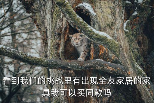 看到我們的挑戰(zhàn)里有出現(xiàn)全友家居的家具我可以買(mǎi)同款嗎
