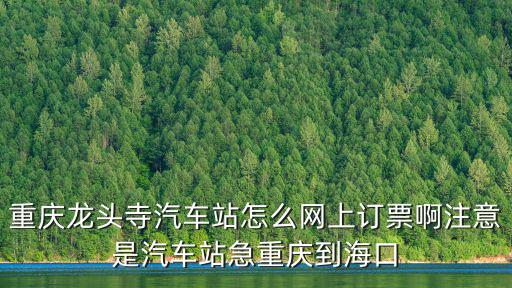 重慶龍頭寺汽車站怎么網上訂票啊注意是汽車站急重慶到海口