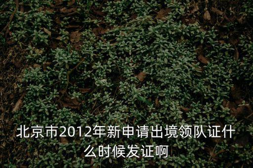 成都市領(lǐng)隊(duì)證，北京市2012年新申請(qǐng)出境領(lǐng)隊(duì)證什么時(shí)候發(fā)證啊