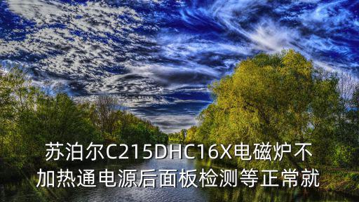 蘇泊爾C215DHC16X電磁爐不加熱通電源后面板檢測(cè)等正常就