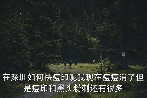 在深圳如何祛痘印呢我現(xiàn)在痘痘消了但是痘印和黑頭粉刺還有很多