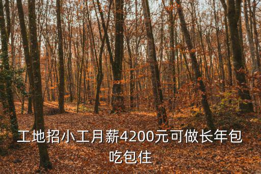 工地招小工月薪4200元可做長年包吃包住