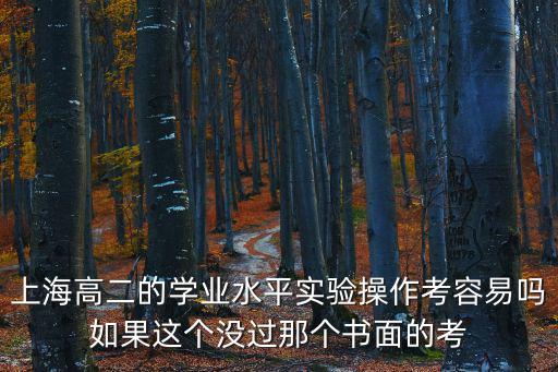 上海高二的學業水平實驗操作考容易嗎如果這個沒過那個書面的考