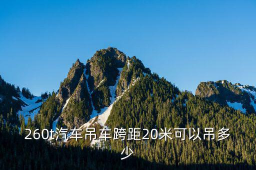 成都市的260噸汽車吊車，成都吊車租賃公司中除了四川騰達(dá)吊裝公司18982143527哪一家