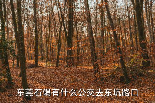 東莞高步到東坑鎮(zhèn)府坐幾路車，東莞石竭有什么公交去東坑路口