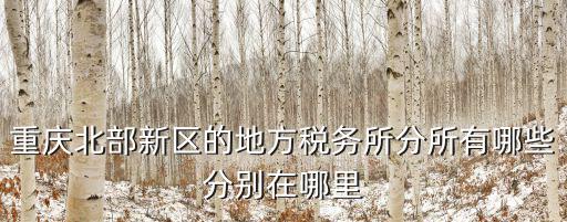 重慶市嘉州稅務所，重慶北部新區的地方稅務所分所有哪些分別在哪里