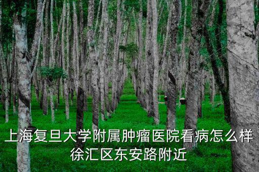 上海復旦大學附屬腫瘤醫院看病怎么樣徐匯區東安路附近
