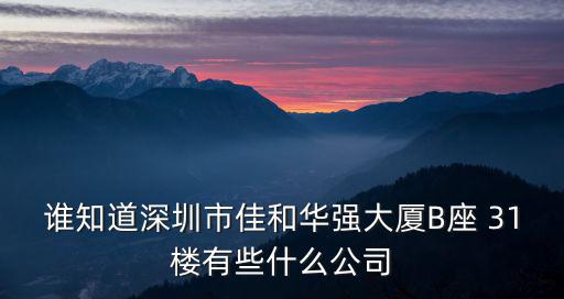 誰(shuí)知道深圳市佳和華強(qiáng)大廈B座 31樓有些什么公司