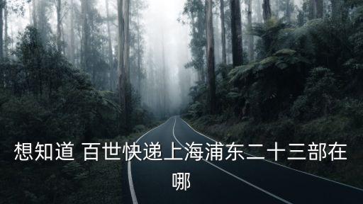 想知道 百世快遞上海浦東二十三部在哪