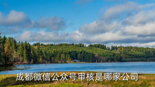 成都微信公眾號審核是哪家公司