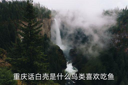 重慶話白殼是什么鳥類喜歡吃魚