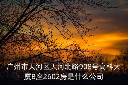 廣州市天河區天河北路908號高科大廈B座2602房是什么公司