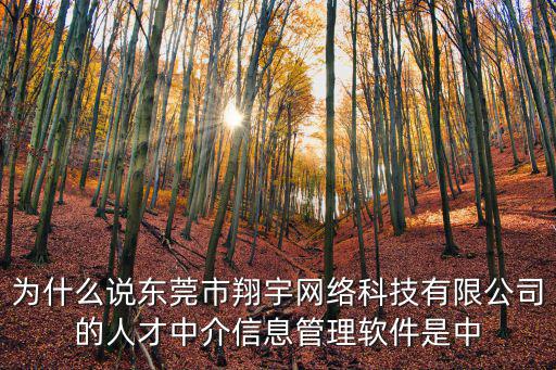 為什么說東莞市翔宇網(wǎng)絡(luò)科技有限公司的人才中介信息管理軟件是中