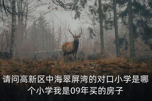 請問高新區中海翠屏灣的對口小學是哪個小學我是09年買的房子