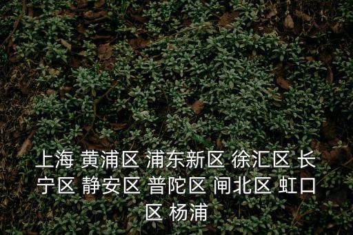 上海 黃浦區 浦東新區 徐匯區 長寧區 靜安區 普陀區 閘北區 虹口區 楊浦