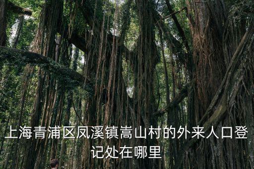 上海青浦區(qū)鳳溪鎮(zhèn)嵩山村的外來(lái)人口登記處在哪里