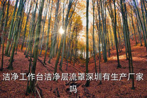 潔凈工作臺潔凈層流罩深圳有生產(chǎn)廠家嗎