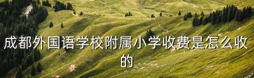 成都外國語學校附屬小學收費是怎么收的