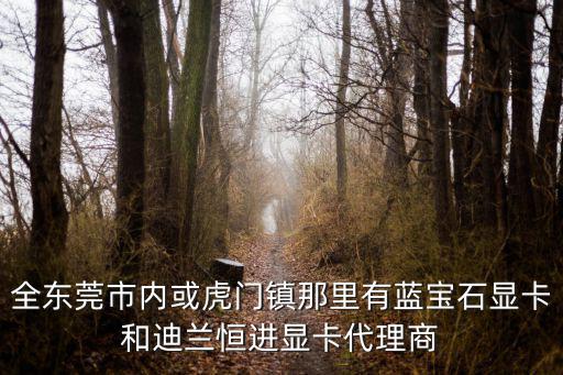 全東莞市內或虎門鎮那里有藍寶石顯卡和迪蘭恒進顯卡代理商