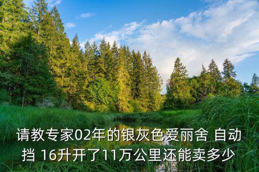 東莞二手愛麗舍，二手賽歐SRV 或 愛麗舍