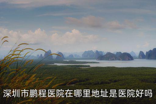深圳市鵬程醫院在哪里地址是醫院好嗎