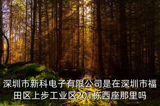 深圳市新科電子有限公司是在深圳市福田區上步工業區201棟西座那里嗎